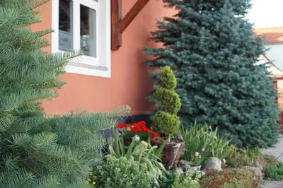 Ein Garten an der Unterkunft Ferienwohnung Midgard im Sagenharz - Family-Apartment, 2 SZ & WLAN
