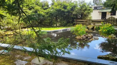 Ein Garten an der Unterkunft Ferienwohnung Marie-Luise Hahnenklee