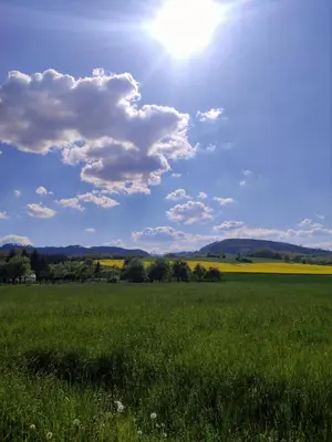 Naturlandschaft in der Nähe des Ferienhauses