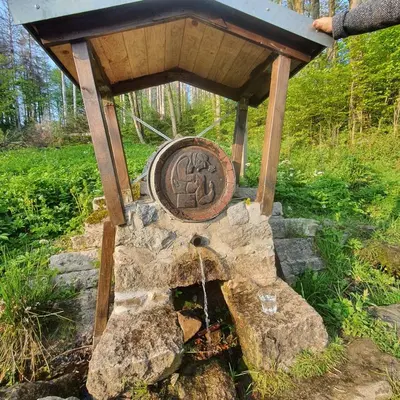 Ein Garten an der Unterkunft Unik Villa- Luxus FeWo im Oberharz