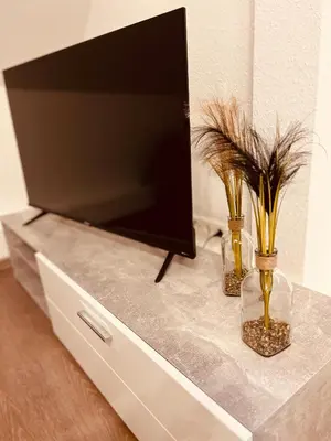 TV/Unterhaltungsangebot in der Unterkunft Apartment-am-Burgberg, Harztor