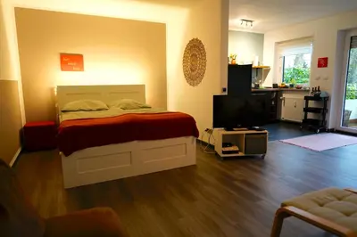 TV/Unterhaltungsangebot in der Unterkunft Liebevolles Appartement-Erholung pur in Bad Sachsa
