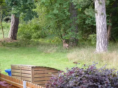 Ein Garten an der Unterkunft 4 Personen Ferienwohnung im Wald mit Kamin, 84 Qudratmeter