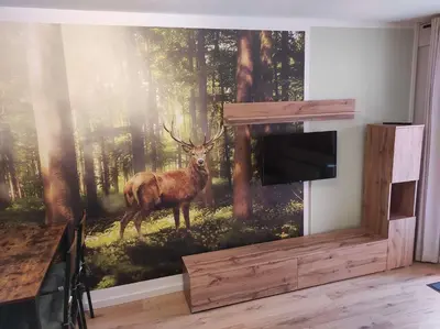 TV/Unterhaltungsangebot in der Unterkunft Gästehaus Harzklause 3