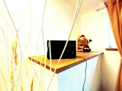 Gäste, die in der Unterkunft Deluxe Appartement (70m2) bis 6 Personen im Oberharz Antik Villa im Harz übernachten