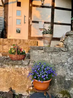 Ein Garten an der Unterkunft Abendrot