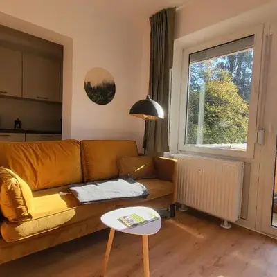 Ferienwohnung Berglodge 11 Hahnenklee Bockswiese
