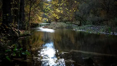 Naturlandschaft in der Nähe der Ferienwohnung