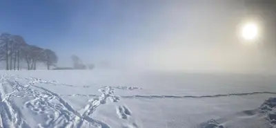 Ferienwohnungen bei der Purpurbuche im Winter