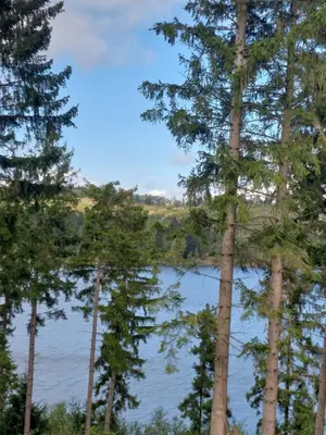 Naturlandschaft in der Nähe der Ferienwohnung