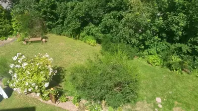 Naturlandschaft in der Nähe der Ferienwohnung