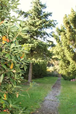 Ein Garten an der Unterkunft Ferienhaus Harzblick