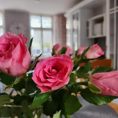 Ferienwohnung im Konvent