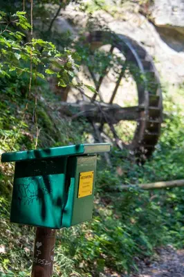 Grundriss der Unterkunft FeWo Kleine Hexe