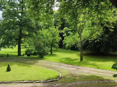 Ein Garten an der Unterkunft Ferienwohnung Goslar mit Parkblick am Harz