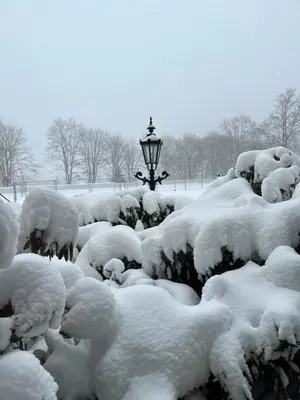 Atempause im Harz Hohegeiß mit Weitbllick im Winter