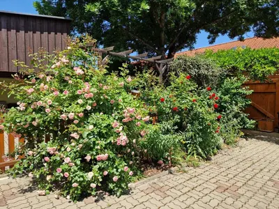 Ein Garten an der Unterkunft Ferienhaus Bavaria WR - Ferienwohnung Servus
