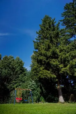 Ein Garten an der Unterkunft Fichtenrauschen