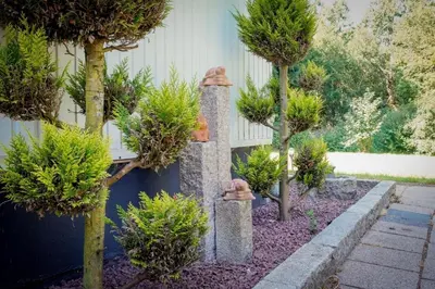 Ein Garten an der Unterkunft Fichtenrauschen