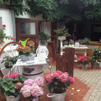 Ein Garten an der Unterkunft Ferienwohnung Uwe's Sporthütte
