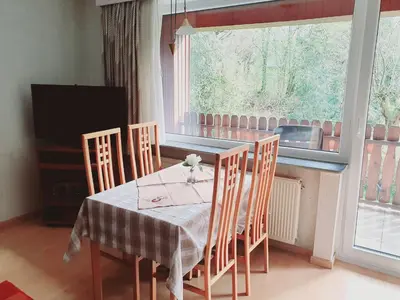 TV/Unterhaltungsangebot in der Unterkunft Harzhaus am Brunnen