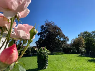 Ein Garten an der Unterkunft Platzhirsch bei der Purpurbuche
