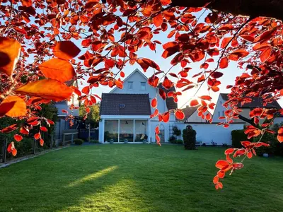 Ein Garten an der Unterkunft Fewo Gipfelglück