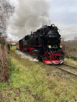 Grundriss der Unterkunft Falkennest