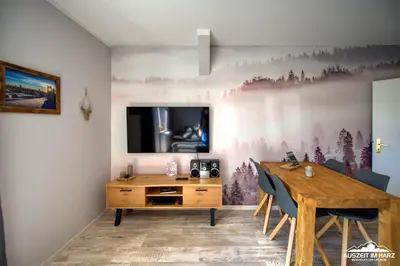 TV/Unterhaltungsangebot in der Unterkunft Auszeit-im-Harz Haus 1 Wohnung Schnarcherklippe