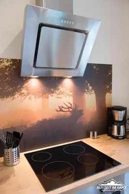 Küche/Küchenzeile in der Unterkunft Auszeit-im-Harz Haus 2 Wohnung 1