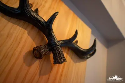 Tiere in der Ferienwohnung oder in der Nähe