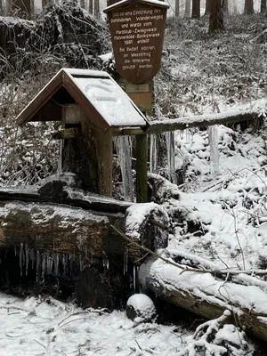 Ferienwohnung Hahnenklee im Winter