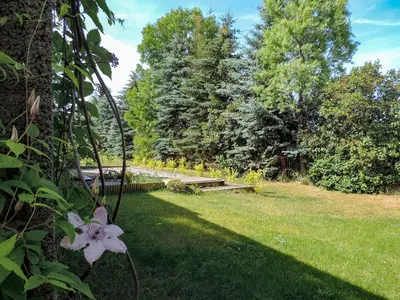 Ein Garten an der Unterkunft Ferienhaus Baldamus in Blankenburg