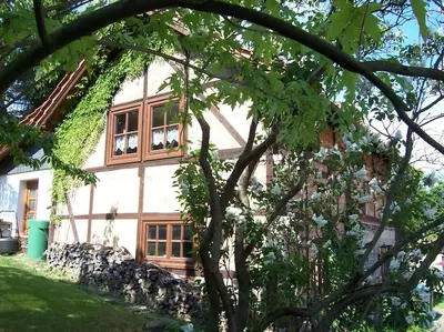 Ein Garten an der Unterkunft Ferienhaus Harz