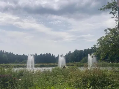 Naturlandschaft in der Nähe der Ferienwohnung
