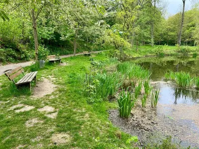 Naturlandschaft in der Nähe der Ferienwohnung