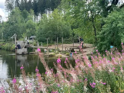 Naturlandschaft in der Nähe der Ferienwohnung