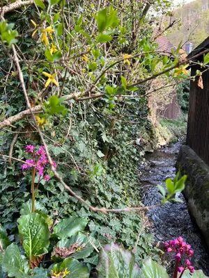 Ein Garten an der Unterkunft Gemütliche Ferienwohnung Nr. 2 im Harz für max. 3 Personen