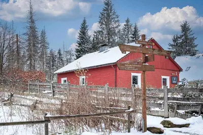 HIRSCH Hänsel Ferienhaus Garten mit Bergblick - Grill -Wald im Winter