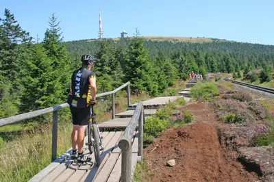 Gäste, die in der Unterkunft HIRSCH Hänsel Ferienhaus Garten mit Bergblick - Grill -Wald übernachten