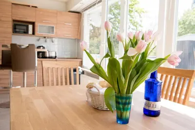 Grundriss der Unterkunft Terrassenhaus Fichtenwald im Harz mit Schwimmbad & Sauna