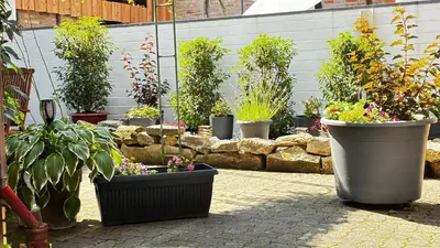 Ein Garten an der Unterkunft Ferienhaus Am Trollmönch