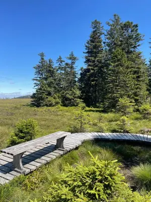 Naturlandschaft in der Nähe der Ferienwohnung
