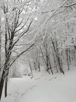 Ferienhäuser Am Eichenberg, Haus 3 im Winter