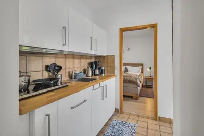 Küche/Küchenzeile in der Unterkunft HIRSCH Stadt Apartment 3 - Balkon mit Flussblick - Parkplatz