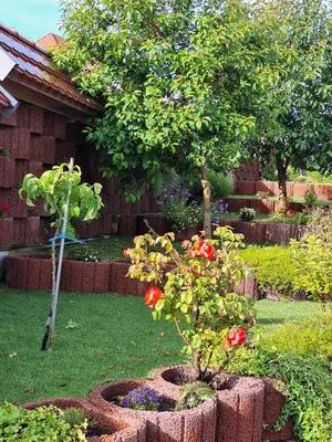Ein Garten an der Unterkunft Sonnenhof Haus 2 - EG