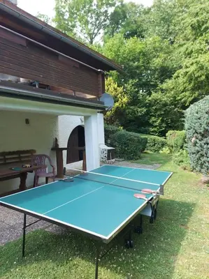 Tischtennis in der Unterkunft Ferienhaus Blockhaus bis 6 Personen Kamin und Hund oder in der Nähe
