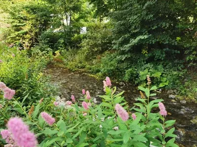 Naturlandschaft in der Nähe des Ferienhauses