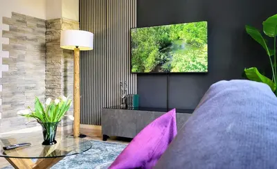 TV/Unterhaltungsangebot in der Unterkunft HIRSCH Apartment Gartenschläfer - zentral - Garten