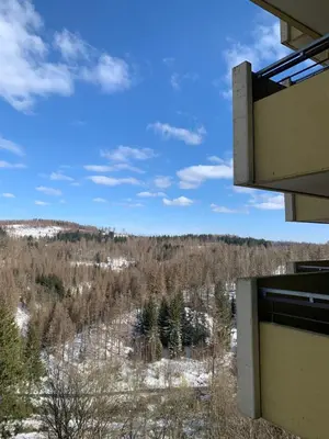 Ein Balkon oder eine Terrasse in der Unterkunft Atempause und erholsame Zeit im Harz